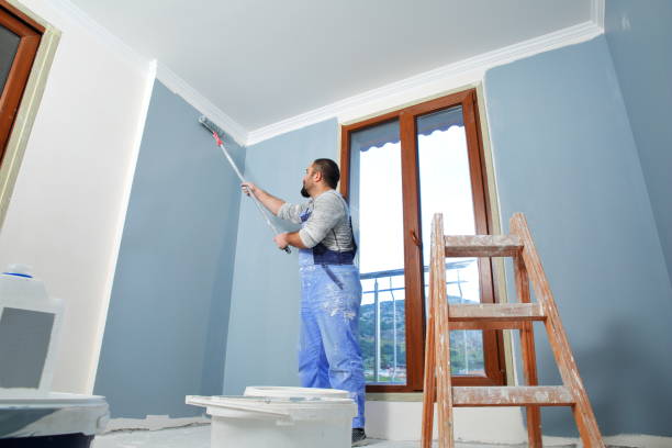 Biohazard Mold Removal in Hazel Park, MI